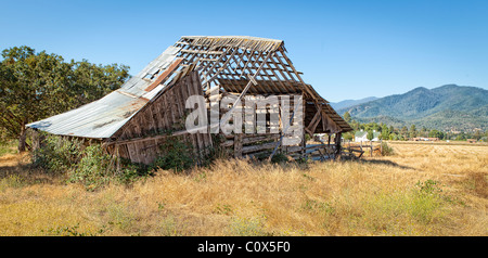 Vecchia stalla diroccata crollando nel campo dell'azienda/ranch in Applegate ha Valley, Oregon. Foto Stock