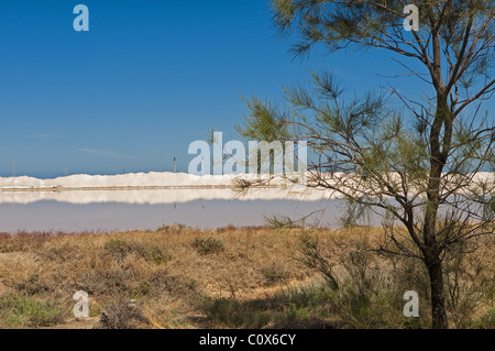 Il Dry Creek Saline si trova 12 km NW di Adelaide nel South Australia. Foto Stock