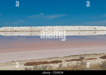 Il Dry Creek Saline si trova 12 km NW di Adelaide nel South Australia. Foto Stock