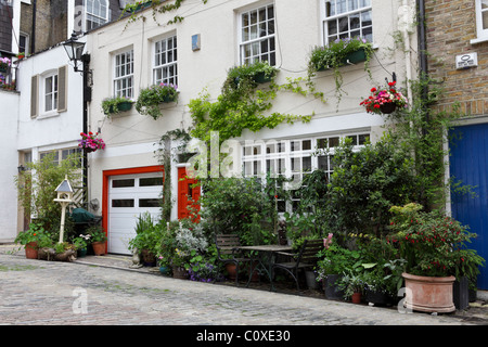 Situato vicino alla stazione ferroviaria di Paddington è Londra Mews house splendidamente adornata con la vita delle piante e sculture. Foto Stock