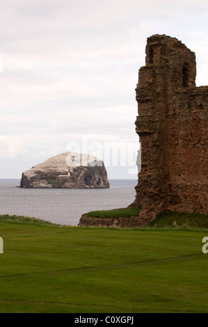 La Bass roccia prelevati dal castello di Tantallon vicino a North Berwick in Scozia Foto Stock