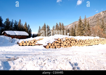 Freddo Inverno nel cuore delle Dolomiti, Veneto, Italia settentrionale Foto Stock