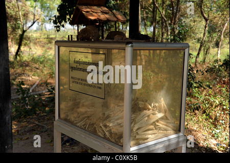 Pezzi di ossa rimanenti dopo lo scavo in 1980, visualizzati in un armadio di vetro nei campi di sterminio di Choeung Ek, Cambogia. Foto Stock