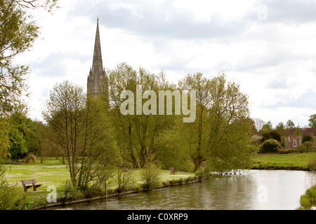 La cattedrale di Salisbury vista dal fiume locale.England Regno Unito Foto Stock