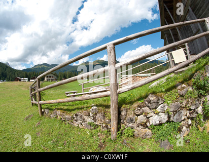 Prati di Val Visdende sulle Dolomiti, Italia Foto Stock
