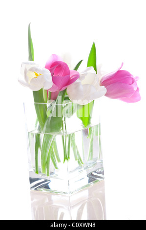 Bouquet di tulipani freschi in vaso contro uno sfondo bianco Foto Stock