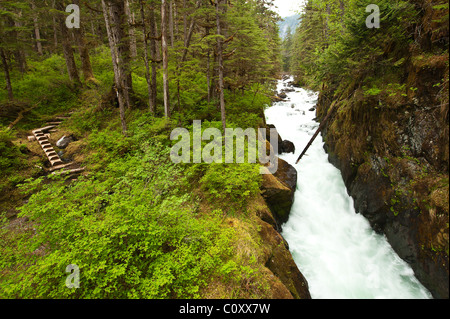 L'Alaska. Cascata Creek, Thomas Bay, Tongass National Forest, a sud-est di Alaska. Foto Stock