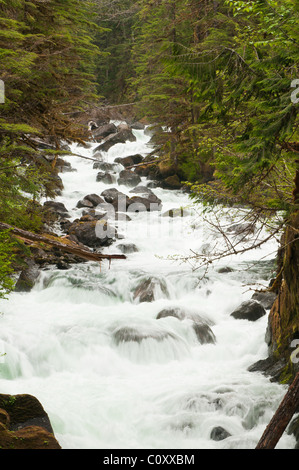 L'Alaska. Cascata Creek, Thomas Bay, Tongass National Forest, a sud-est di Alaska. Foto Stock