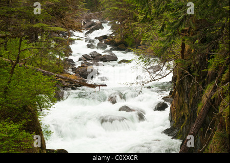 L'Alaska. Cascata Creek, Thomas Bay, Tongass National Forest, a sud-est di Alaska. Foto Stock