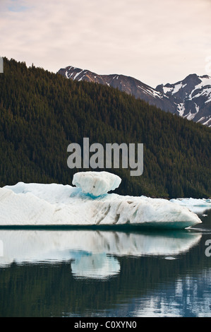 Ice pack iceberg dal ghiacciaio LaConte, LaConte Bay, Frederick Sound, Tongass National Forest, Inside Passage, Sud-est dell'Alaska. Foto Stock