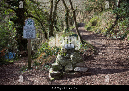 Fingle Bridge boschi vicino al Castle Drogo,Drewsteignton,Devon,Teign Gorge, tra le antiche hillforts del Castello Prestonbury 130 metri (430 ft) Foto Stock