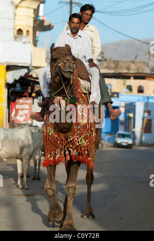 Due indiani gli uomini a dorso di un cammello Foto Stock