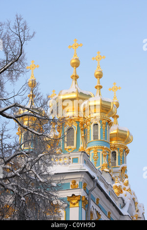 Il Palazzo di Caterina, Carskoe Selo, Pushkin, San Pietroburgo, Russia Foto Stock