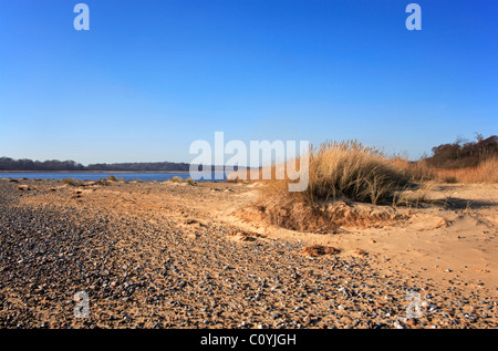 La spiaggia e le dune di piccole dimensioni sul bordo di Benacre vasta riserva naturale nazionale, Suffolk, Inghilterra, Regno Unito. Foto Stock