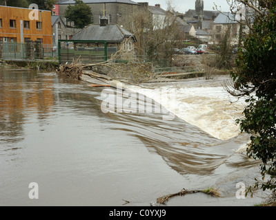 Fiume Bandon weir Foto Stock