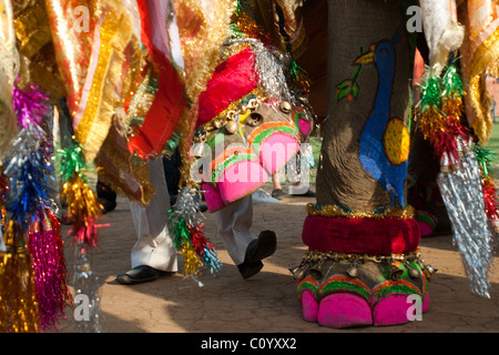 Dipinto di dita di un elefante e dei piedi di un uomo indiano in background in al divertente posa. Jaipur annuale festival di elefante Foto Stock