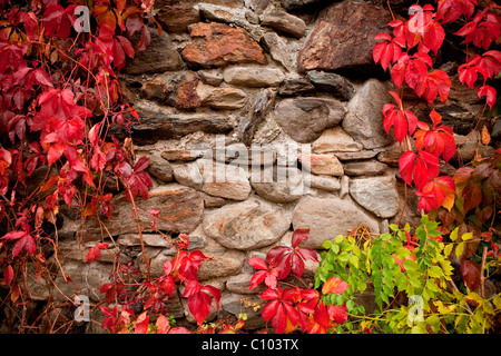 vecchio muro Foto Stock