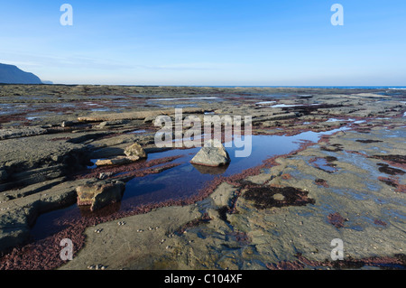 Jurassic Coast presso Staithes nel North Yorkshire Inghilterra Foto Stock