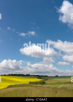 Campi off Copley Lane, Aberford, Leeds Foto Stock