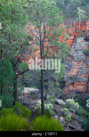 Alligator Gorge, Mount Remarkable National Park, Sud Australia, Australia Foto Stock