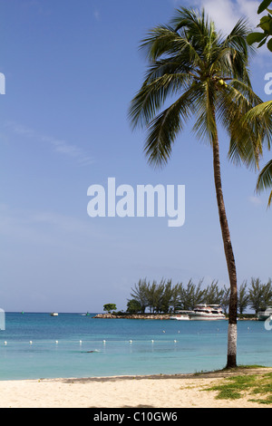 Tropical Ocho Rios, spiaggia Jamaica scena di un uomo solitario come nuota lungo la riva del mare. Foto Stock