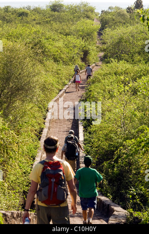 Sentiero per Tortuga Bay - Isola di Santa Cruz, Isole Galapagos, Ecuador Foto Stock