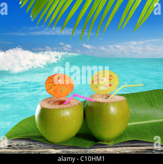 Gara fresco verde paglia coconuts cocktail tropicale sulla spiaggia caraibica Foto Stock