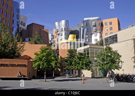 Ray e Maria stata Center, architetto Frank Gehry, MIT, Massachusetts Institute of Technology, Cambridge, New England, STATI UNITI D'AMERICA Foto Stock