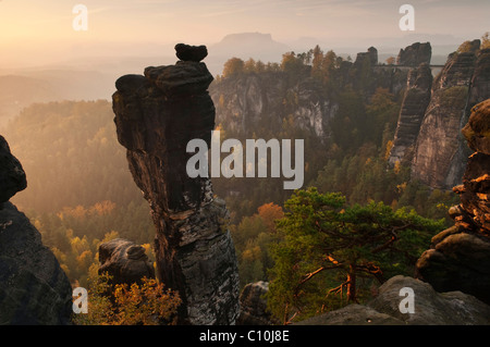 Vista dalla Hoellenhundaussicht vista sulla valle Wehlgrund il Bastei rock formazione e ponte Basteibruecke, alba Foto Stock