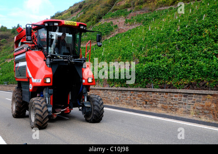 Harvestmachine sul modo di prossima vigna nella valle della Mosella, Renania-Palatinato, Germania, Europa Foto Stock
