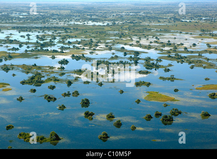 Vista aerea, Okavango Delta, Botswana, Africa Foto Stock