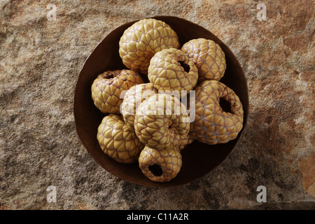 Salak (Salacca zalacca), frutta in un vaso di rame su di una superficie di pietra Foto Stock