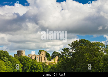 Barnard Castle, una fortificazione normanna costruita sulle rive del Fiume Tees, Teesdale, County Durham, Inghilterra Foto Stock