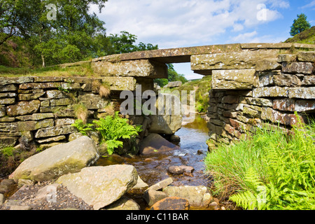 La pietra Bronte ponte sud Dean Beck vicino Haworth Moor, Yorkshire, Inghilterra Foto Stock