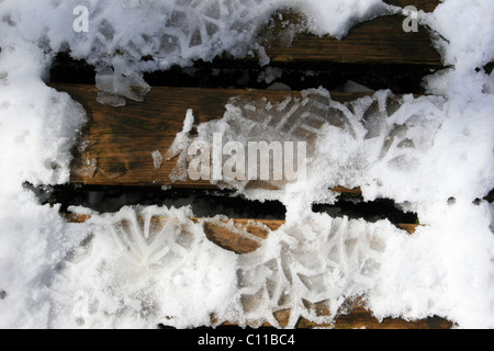 Wallonie, Hautes Fagnes, Belgio Foto Stock