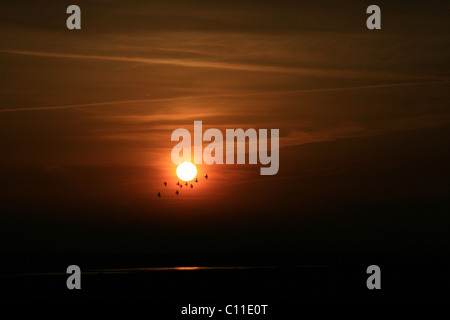 Picardie, St Valery sur Somme, Francia Foto Stock