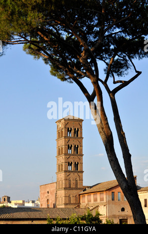 Basilica di Santa Francesca Romana, il Campanile, Forum Romanum, Foro Romano, Roma, Lazio, l'Italia, EuropeEurope Foto Stock