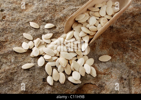 I semi di zucca (Cucurbita) con una pala di legno sulla superficie di pietra Foto Stock