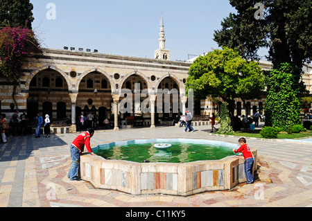 Fontana nel cortile del palazzo Azm, Azem, Quasr al-Azm, ottomani museo etnografico e storico centro di Damasco, Siria Foto Stock