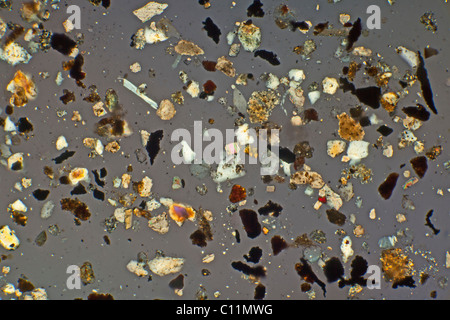 Islanda ceneri vulcaniche Eyjafallajokull, croce fotomicrografia polarizzati Foto Stock