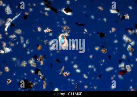 Islanda ceneri vulcaniche Eyjafallajokull, croce fotomicrografia polarizzati Foto Stock