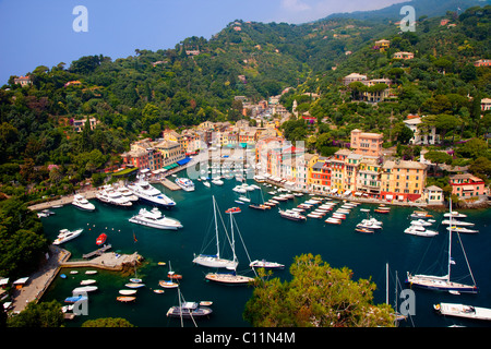 Barche ormeggiate nel piccolo porto di Portofino Liguria Italia Foto Stock