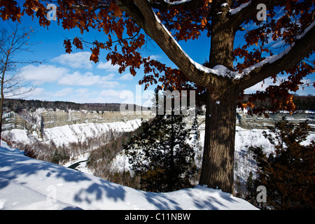 Letchworth State Park Castiglia New York STATI UNITI D'AMERICA in inverno Foto Stock