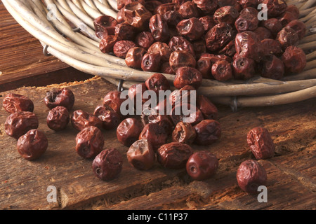 Essiccato Jujube bacche (Ziziphus jujuba) come ingrediente per i cereali per la colazione, dolci e ribaltato al di fuori di un cestello di salice Foto Stock