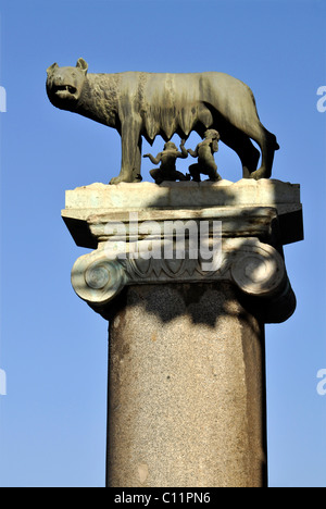 Lupo capitolino, Romolo e Remo, Piazza del Campidoglio Piazza del Campidoglio, Roma, Lazio, l'Italia, Europa Foto Stock