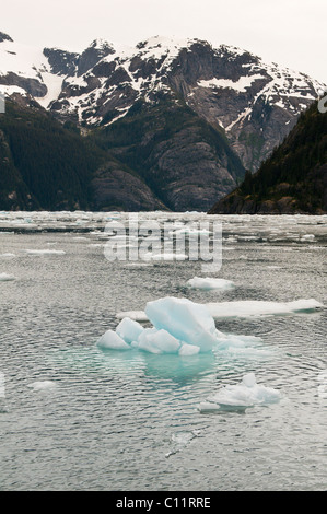 L'Alaska. Iceberg in lecont Bay, a sud-est di Alaska. Foto Stock