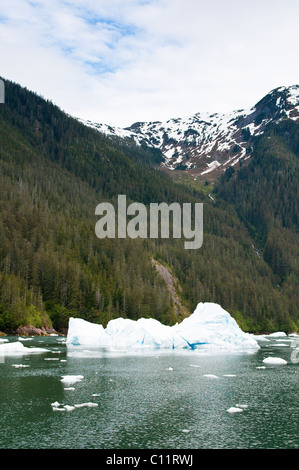 L'Alaska. Iceberg in lecont Bay, a sud-est di Alaska. Foto Stock