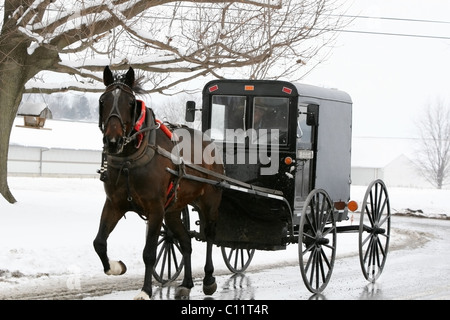 Strada invernale con cavallo Amish e buggy in Lancaster County, Pennsylvania Foto Stock