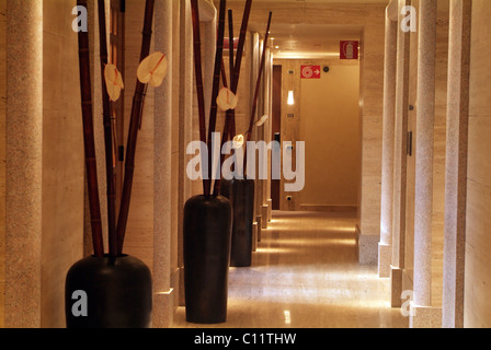 Hotel corridoio con luce di marmo colorato sulle pareti ed eleganti vasi decorati con bambù e foglie Foto Stock