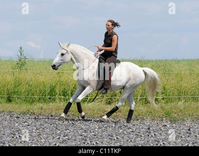 Rider, giovane donna con Partbred Arabian, equitazione con un anello del collare, bareback, con sella pad, pad, trotto Foto Stock